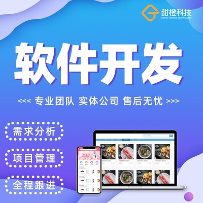 软件开发定制桌面程序APPJavaC#PHP代做微信小程序设