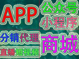 APP,小程序,公众号,区块链,分销,商城,新零售网站建设/